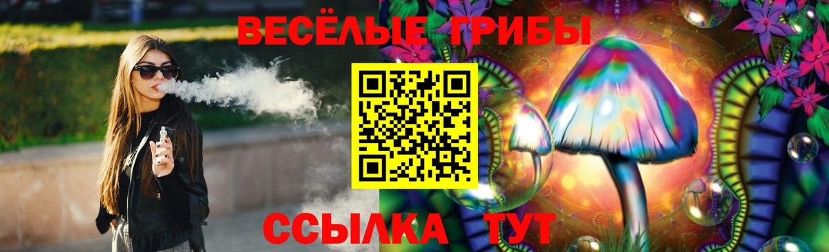 Выборг  Галлюциногенные грибы прущие грибы  Вход с VPN 